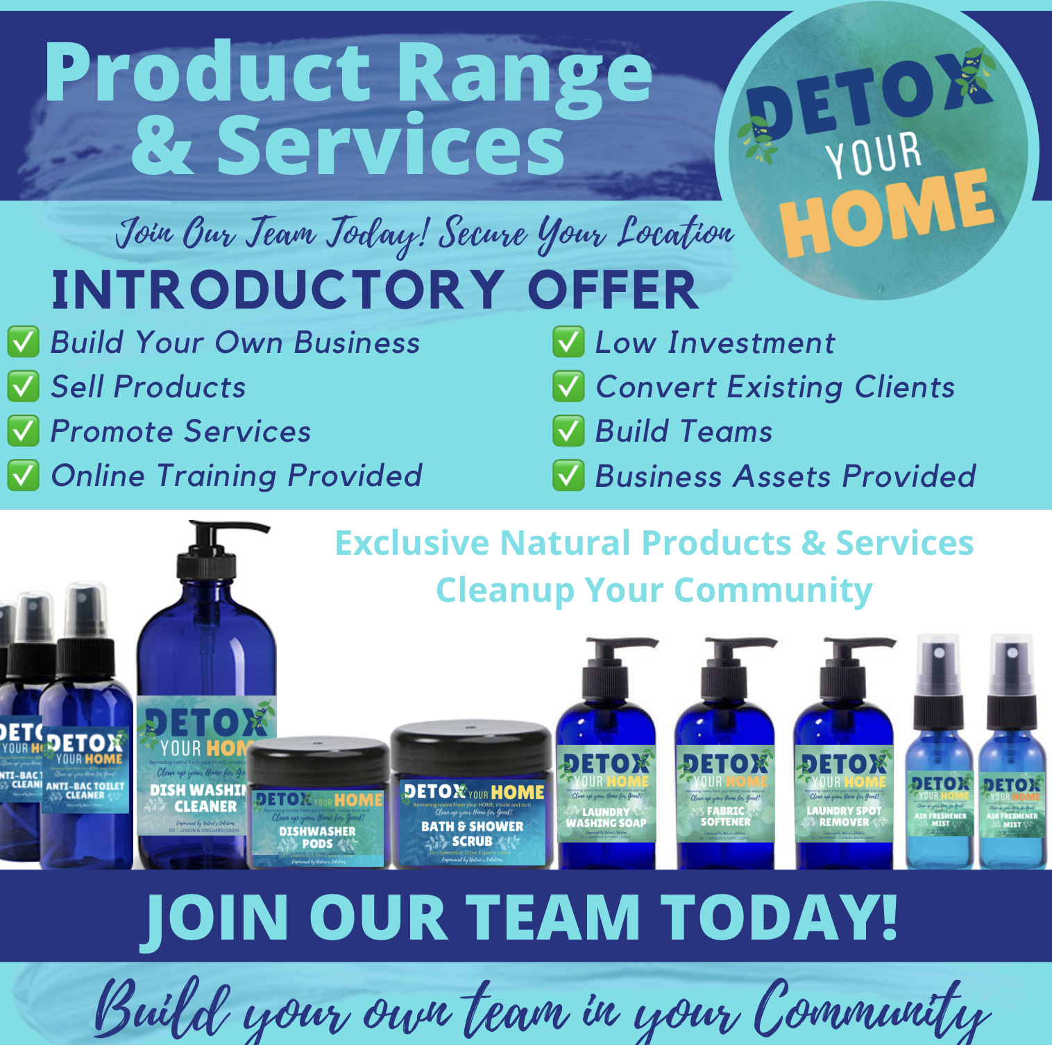 Detox your Home Business Opportunity