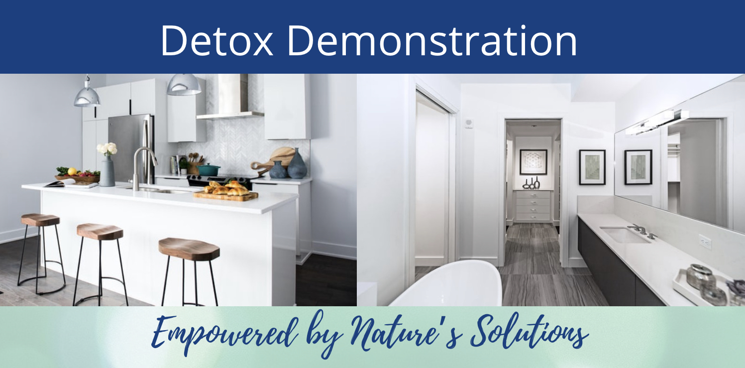 Detox-Your-Home in home demonstrations