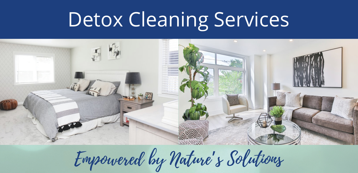 Detox Your Home professional cleaners