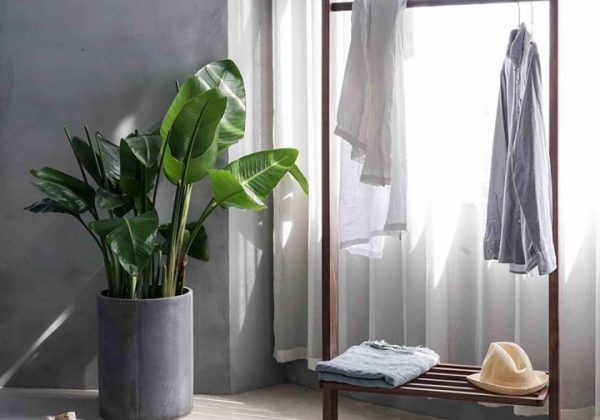 Maintaining your home clean and tidy
